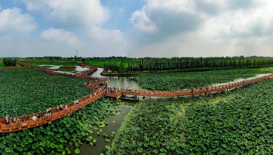 （菏澤市曹縣黃河故道濕地風(fēng)景區(qū)。圖片來源：菏澤市攝影家協(xié)會）